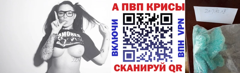 APVP СК КРИС Стародуб