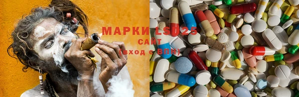 каннабис Аркадак
