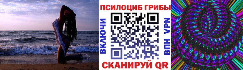 ОМГ ОМГ как войти  что такое наркотик  Стародуб  Псилоцибиновые грибы мицелий 
