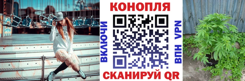 Шишки марихуана семена  где купить   Стародуб 